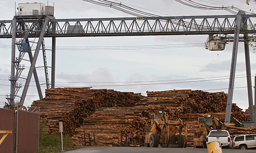 Timber Industry Crane
