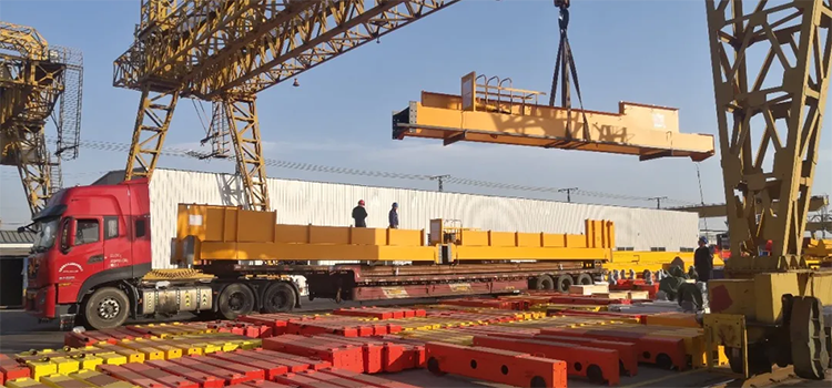 Weihua Overhead Crane Installation in Mexico