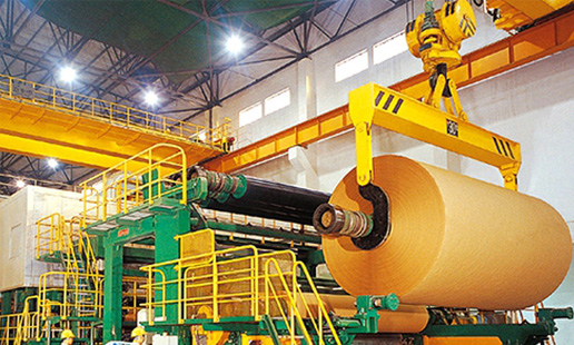 Paper Industry Overhead Crane