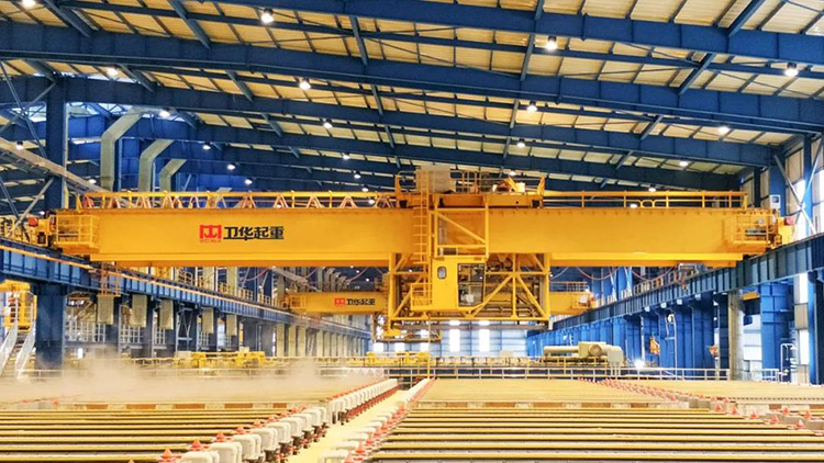 Multifunctional Special Overhead Crane