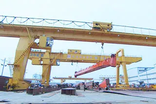 Anti-Sway Cranes